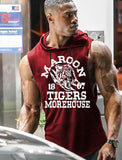 Ripped Tiger - Sleeveless Hoodie