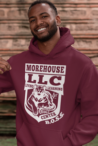 LLC - Tiger Tee Hoodie